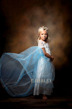 Load image into Gallery viewer, Charming Decorative Flower Crown