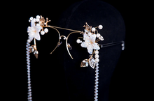 Load image into Gallery viewer, Candied Pixie Cosplay Glasses