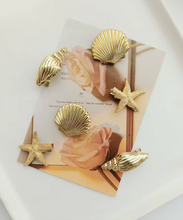 Load image into Gallery viewer, Sea Witch Starfish Shell Clips