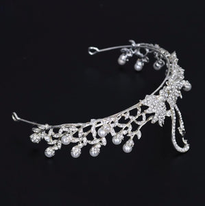 Magnificent Silver Swan Crown